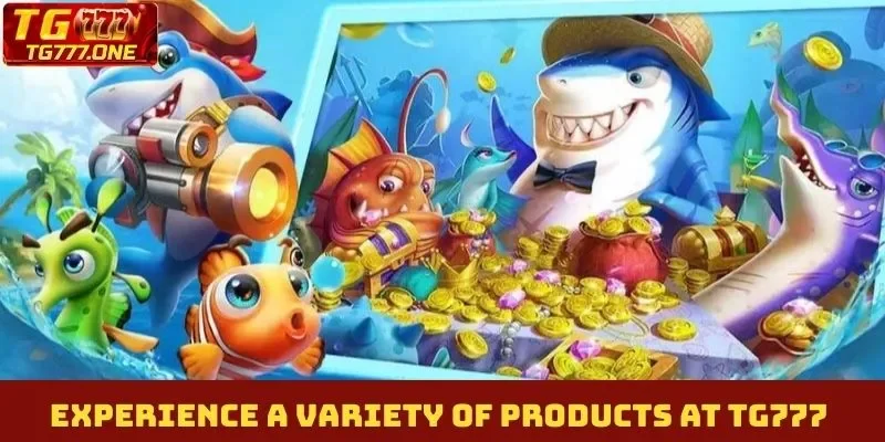 Experience a variety of products at TG777